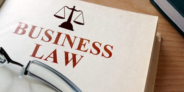 Navigating Business Legality: Insights into Business Law