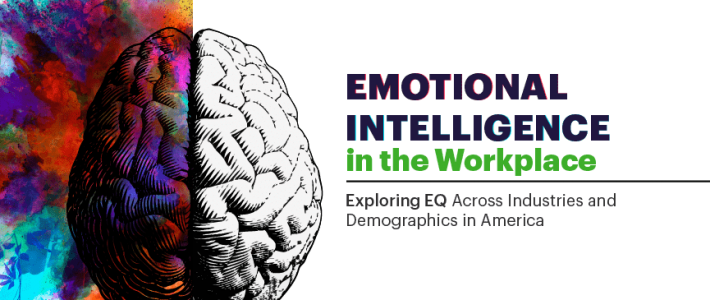 Effective Auditor Understanding and Applying Emotional Intelligence