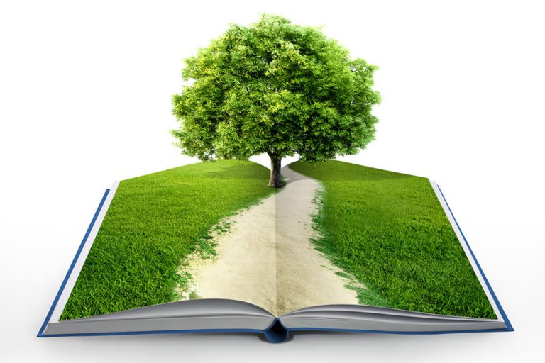 Environment Audit Based On ISO 14001