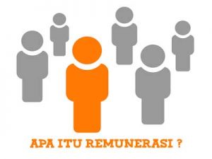 Formulasi Strategi Pengembangan Sumber Daya Manusia dan Kebijakan Remunerasi